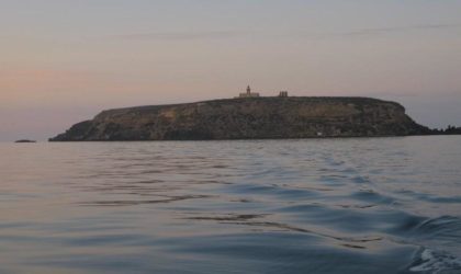 L’île de Rachgoun : un bijou et une zone humide d’importance à valoriser