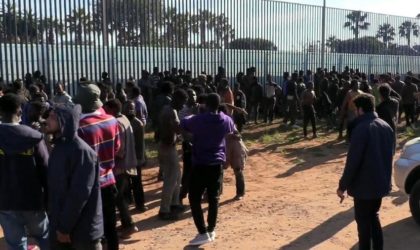 Plus de 2 000 migrants à l’assaut de Melilla : le Maroc veut faire pression sur l’Espagne