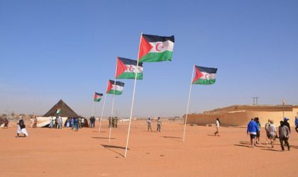 Sahara Occidental : le Groupe de Genève dénonce le laxisme et le silence de l’ONU