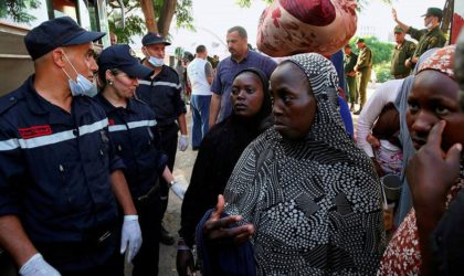 Haoussas et Toubous : ce grand complot migratoire ourdi contre l’Algérie