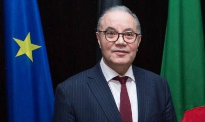 Belani : «La CJUE a clairement statué que le Maroc n’exerce aucune souveraineté sur le Sahara Occidental»