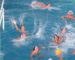 JM-Oran-2022 : le water-polo pour lancer la 19e édition des jeux vendredi