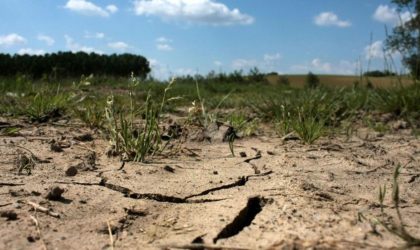 Une sécheresse sans précédent guette tout le pourtour méditerranéen