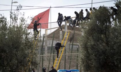 Migrants tués par la police marocaine à Melilla : vers l’exclusion du Maroc de l’UA ?