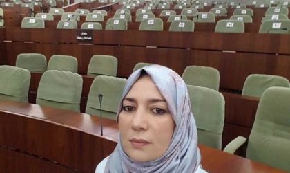 Salhi en prison : le plaignant appelle à juger les complices de la députée raciste