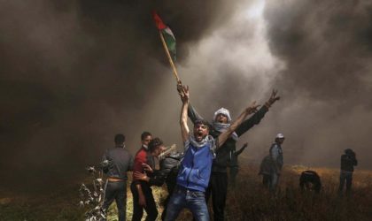 Manifestations internationales de solidarité avec la résistance palestinienne