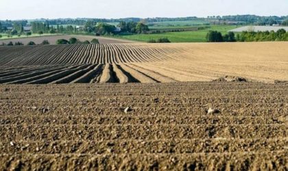 Déclassement de terres agricoles pour la réalisation de logements AADL