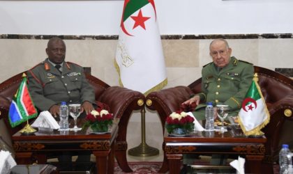 Saïd Chengriha reçoit le commandant des Forces de défense nationale de l’Afrique du Sud