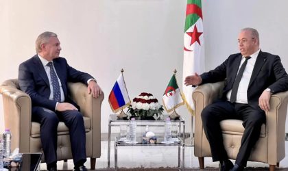 Algérie-Russie : voies et moyens pour le renforcement de la coopération économique