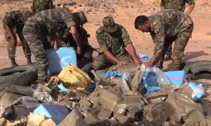 L’armée sahraouie détruit 800 kg de drogue en provenance du Maroc