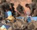 L’armée sahraouie détruit 800 kg de drogue en provenance du Maroc