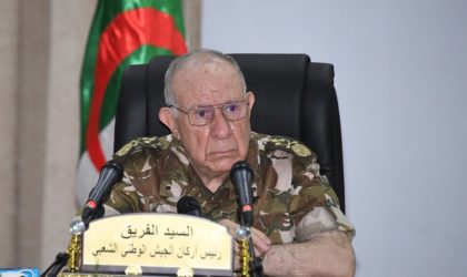 Chengriha : «L’Algérie refuse toute forme d’ingérence au Sahel et au Sahara»