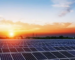 Appel d’offres national et international pour la réalisation d’une centrale solaire à Guerrara