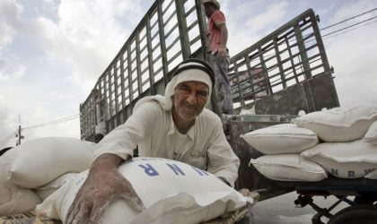 Faute de fonds : le Programme alimentaire mondial suspendra bientôt son aide aux Palestiniens