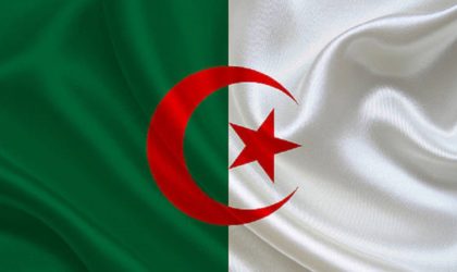 Retour sur l’histoire de l’Algérie en Coupe d’Afrique des Nations