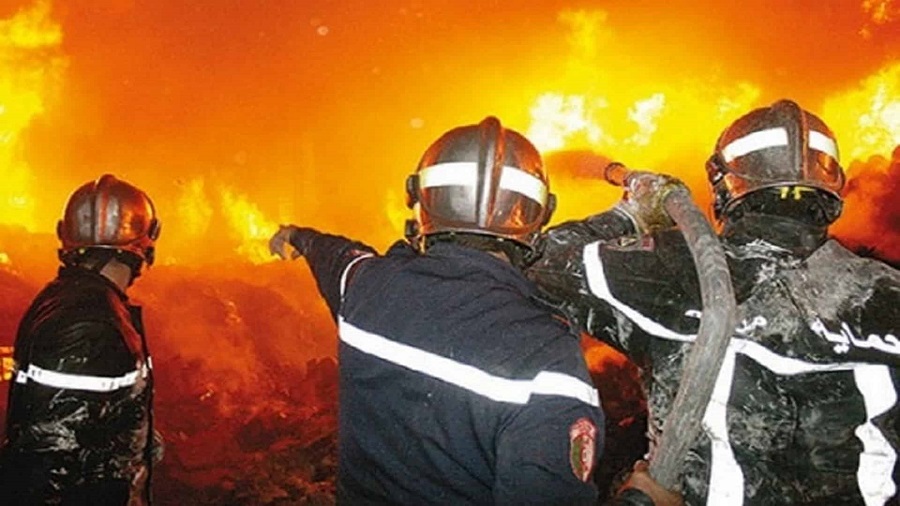 Comment faire face aux feux de forêt : la stratégie proactive de la Protection civile