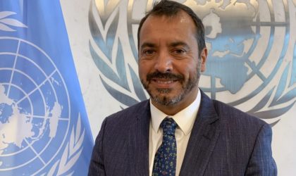 L’Algérie membre non permanent à l’ONU : «Le multilatéralisme gagne un allié de taille» selon Alejandro Alvarez