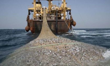 Accord de pêche Maroc-UE : pas de renouvellement sans la décision de la Cour de justice européenne