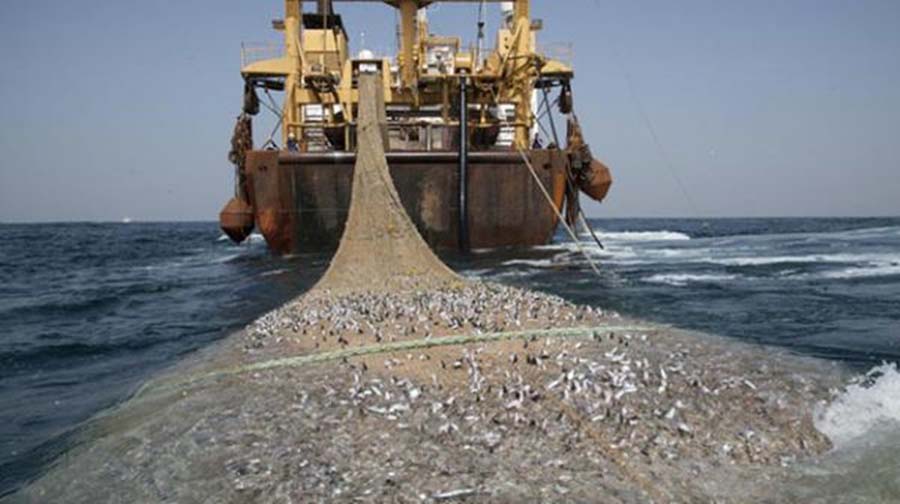 accord de pêche UE-Maroc