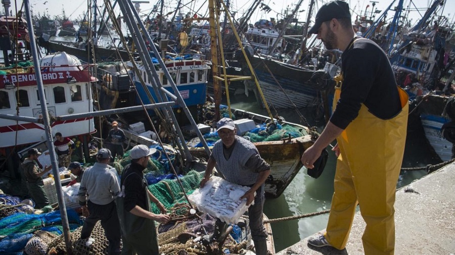 pêche négociations directe