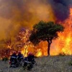 97 incendies Algérie