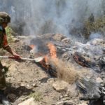 soldats de l'ANP incendies