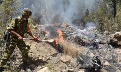 Dix soldats de l’ANP périssent dans les incendies de forêts à Béjaïa