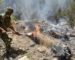 Dix soldats de l’ANP périssent dans les incendies de forêts à Béjaïa
