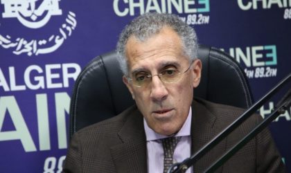 Mohamed Arkab reçoit le président du Conseil d’affaires algéro-américain
