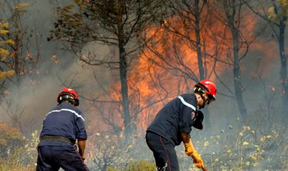 Feux de forêts à Jijel et Béjaïa : ouverture d’enquêtes préliminaires