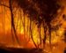 97 incendies enregistrés à travers 16 wilayas dans la nuit de lundi