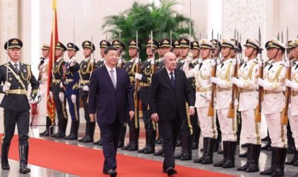 Chine : entretiens élargis entre Abdelmadjid Tebboune et Xi Jinping