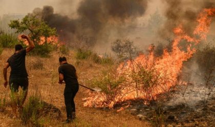 Incendies de forêts : le bilan s’alourdit à 34 décès