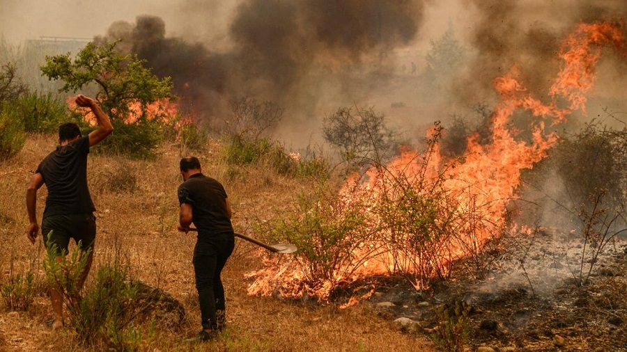 incendies bilan