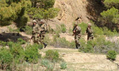 Activant dans la région du Sahel : un terroriste se rend aux autorités militaires de Bordj Badji Mokhtar