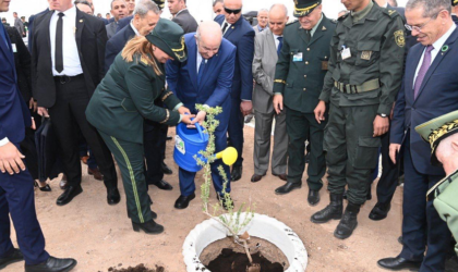 Tebboune inaugure la ligne ferroviaire Boughezoul-Djelfa-Laghouat et relance le projet de barrage vert