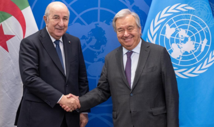 L’Algérie au Conseil de sécurité : un vent de panique souffle sur le Makhzen
