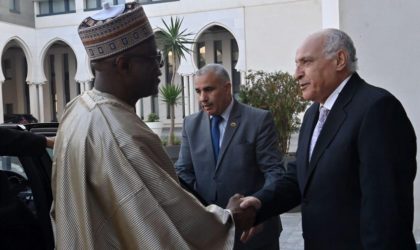 Le ministre nigérien des Affaires étrangères se félicite de la qualité des relations avec l’Algérie