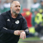 Belmadi FAF