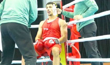 Tournoi international de Strandja : les boxeurs algériens décrochent cinq médailles