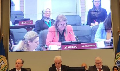 Election de l’Algérie à la vice-présidence de l’Organisation pour l’interdiction des armes chimiques
