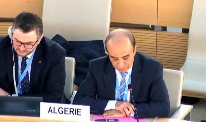 Situation dans les Territoires palestiniens : l’Algérie dénonce la passivité du Conseil de sécurité