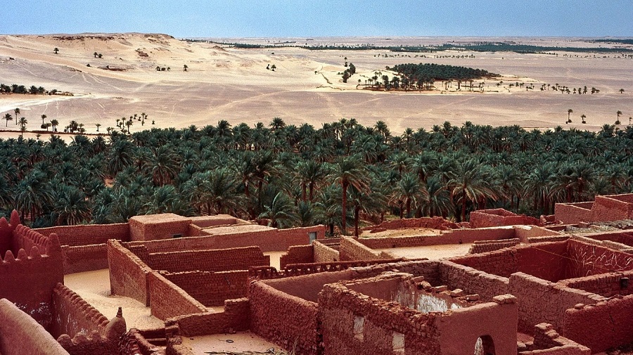 Timimoun Bonifiche Ferraresi