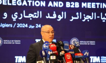 Algérie-Turquie : hisser les échanges commerciaux de 7 à 10 milliards de dollars américains
