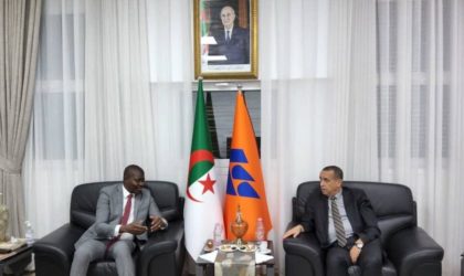 Sonelgaz : Adjal examine les moyens du renforcement de la coopération avec le président de la CEDEAO