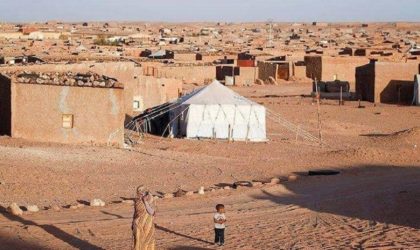 Camps de Tindouf : l’Algérie apporte son aide aux réfugiés sahraouis
