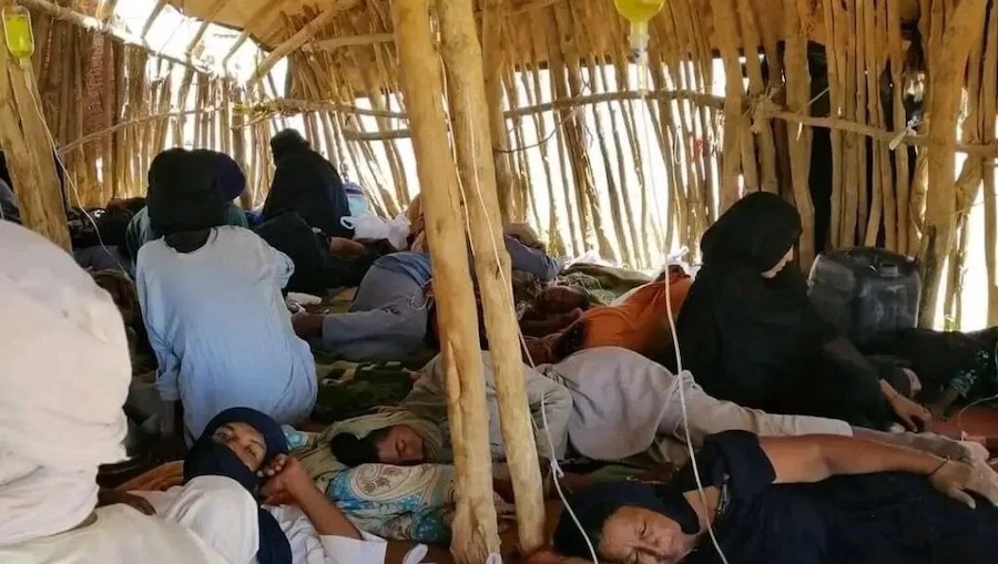 Ils ont été importés : le paludisme et la diphtérie au sud du pays