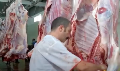 Ramadhan : les opérateurs tenus à importer plus de 20 000 tonnes de viandes rouges