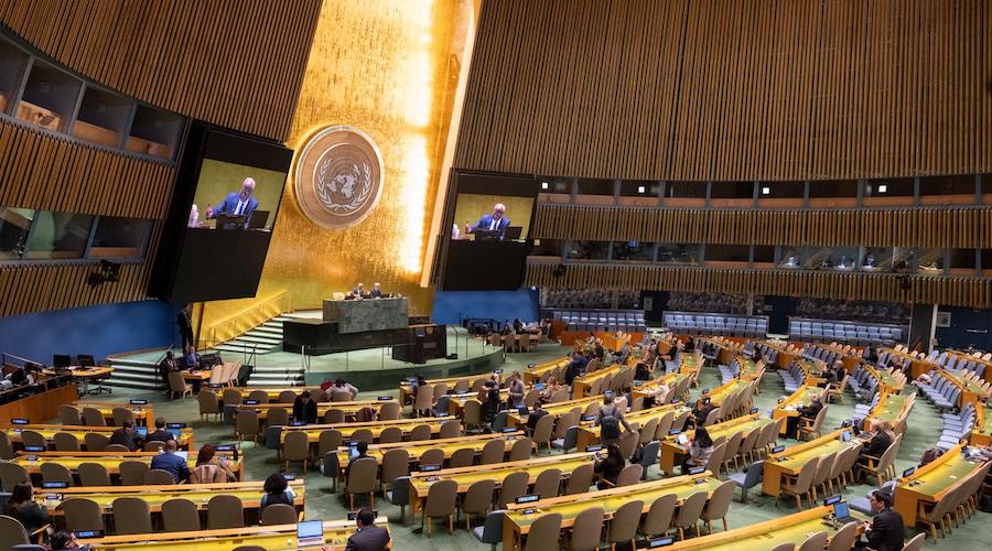 Assemblée générale des Nations unies : deux résolutions adoptées pour la Palestine occupée