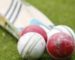 Cricket T20 vs traditionnel : formats comparés